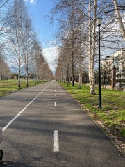 road in the park