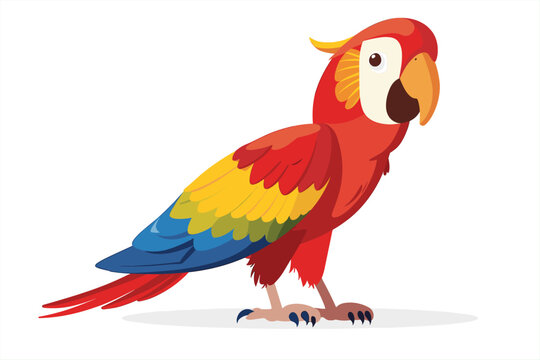 cute parrot bird cartoon posing, isolated on a white background, Flat style cartoon vector illustration. Tropical Cool Bird Red Parrot Macaw. Cartoon red parrot on a white background. 