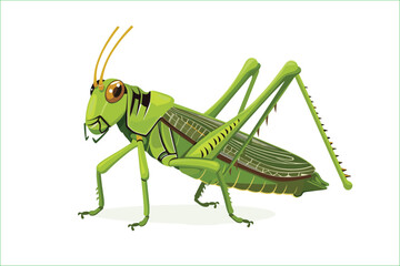 cute green locust cartoon, isolated on a white background, Flat style cartoon vector illustration. Cricket. Cartoon grasshopper isolated on white background. Grasshopper. Cute cartoon character.