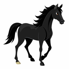 horse vector