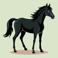 horse illustration