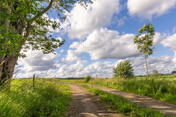 Paysage d'été dans la campagne, paysage,été,printemps, sentier, chemin, arbre,vert,ciel,bleu,nuage,bucolique,nature, environnement, suède, europe, scandinavie, halland