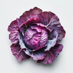 Obraz premium Red Cabbage on White Background.