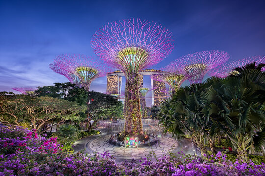Singapore, Singapore - October 20, 2019: Gardens by the bay with supertree grove and the neon jungle taken at the blue hour