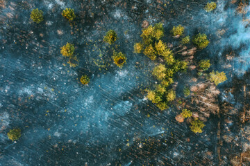 Dry Grass Burns During Drought And Hot Weather. Aerial View. Fire And Smoke In Meadow Field. Wild Open Fire Destroys Grass. Nature In Danger. Natural Disaster. Problem Air Pollution. Copy Space