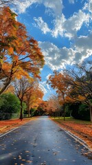Obraz premium Autumn Road with Trees and Blue Sky