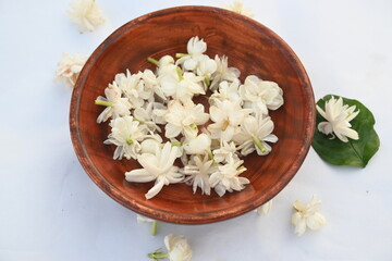 Jasminum sambac flower. The flower may be used as a fragrant ingredient in perfumes and jasmine tea. In India known as Mogra flower and beli flower. Its other names Arabian jasmine and Sambac jasmine.