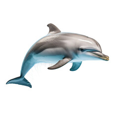 A cute dolphin, isolated on white or transparent background cutout.