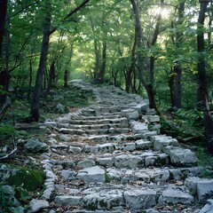 Fototapeta premium Stone path through the green forest