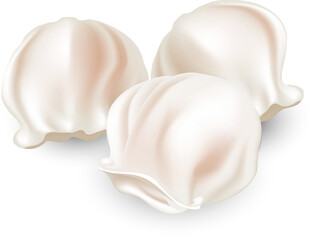 Hand drawn dim sum element graphic art, Shrimp dumpling, Har gow.