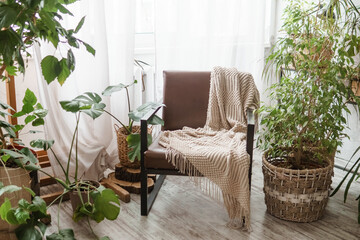 A fragment of the interior with a variety of indoor plants and plaster sculptures. Urban jungle concept. Biophilia design.