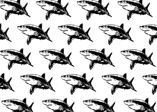 Repetitive shark pattern over white background