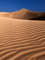 sand dunes in the desert