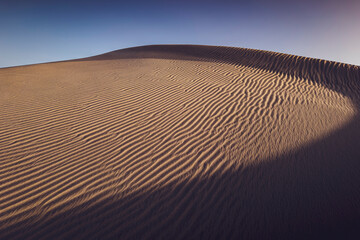 sand dunes in the desert