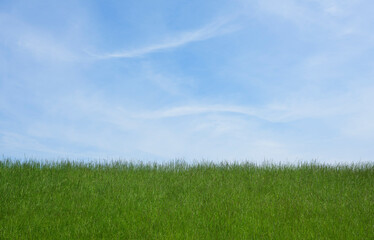 Land covered with grass in front of blue sky
