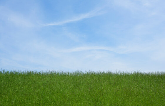 Land covered with grass in front of blue sky
