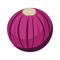 Vector Design of Whole Round Fresh Red Onion Food Vegetable