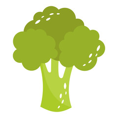 Broccoli. Fresh vegetable. Vector illustration.