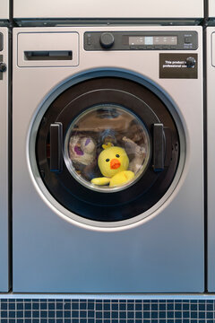 Yellow duck in washing machine at laundromat