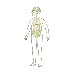 シンプルな子供の人体図