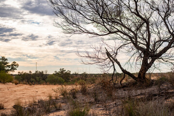 Sand dunes in the desert