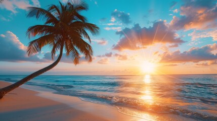beautiful tropical beach with palm tree at sunset. caribbean summer landscape background., beach, summer vacation and travel concepts