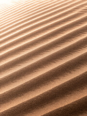 sand ripples in the sand