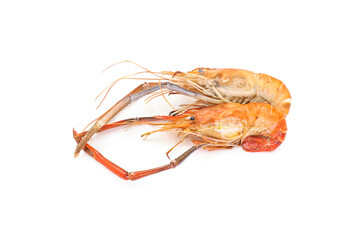 shrimp on white background