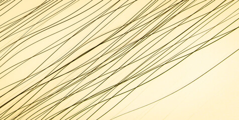 Vibrant and Dynamic Abstract Delight with a Multitude of Colors and Patterns
