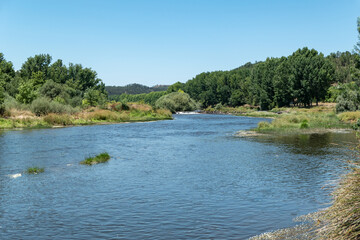 Rio selvagem entre as árvores e um céu azul em Trás-os-Montes, Portugal