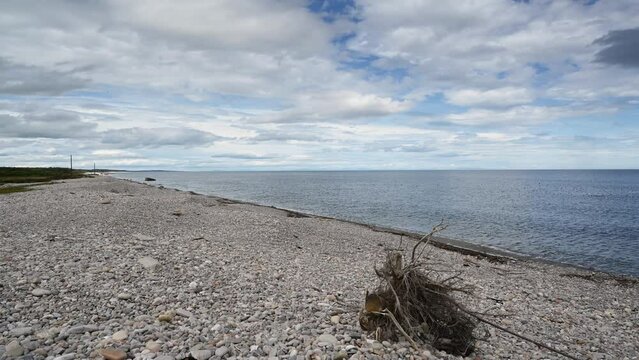 On the Moray coast-Kingston on Spey. Calm summers day looking over the Firth of Cromarty, Scotland.