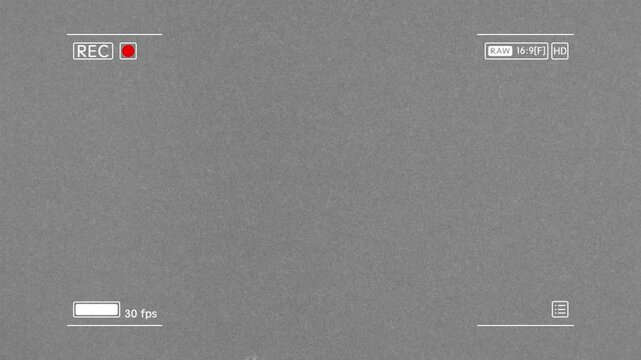 Camera Recorder View Finder with Noise Film Grain Overlay. Video Effect.