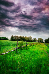 Obraz premium Purple sky . Grass on the field . Raod in the contryside . Trees and clouds . Fence on field 