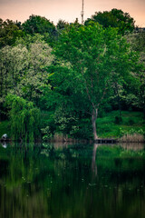 Sunset over the river . Another river beach. May and trees . Green colors . Reflections on water . Fising on river . Golden sunset 