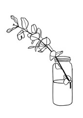 Vector illustration - ink sketch with eucalyptus in vase. Art for for prints, wall art, banner, background