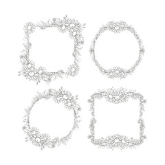 Hand Drawn Daisy Flower Frame Background
