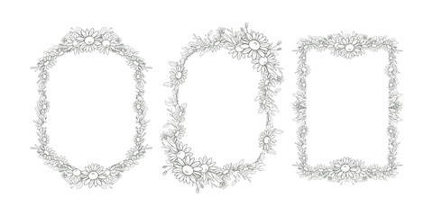 Hand Drawn Daisy Flower Frame Background