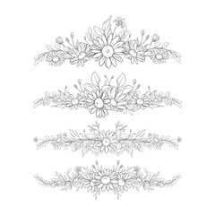 Hand Drawn Daisy Flower Frame Background