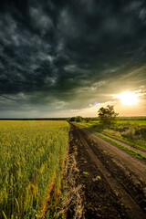 Field and Storm . Sunset over the Field with weat. Sky with clouds . Rainstorm sky . 