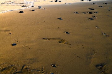 Footsteps leading towards sea at beach.
