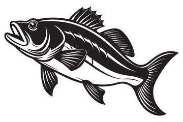 black and white bass fish