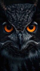 Obraz premium Close up photo of the head of an owl