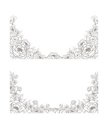 Hand Drawn Peony Flower Frame Background