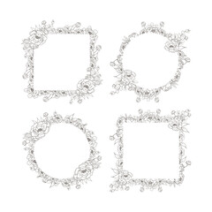 Hand Drawn Peony Flower Frame Background