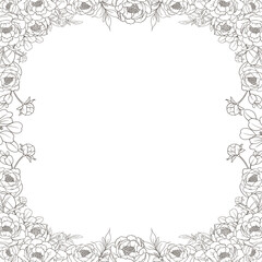 Hand Drawn Peony Flower Frame Background