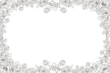 Hand Drawn Peony Flower Frame Background