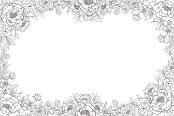 Hand Drawn Peony Flower Frame Background