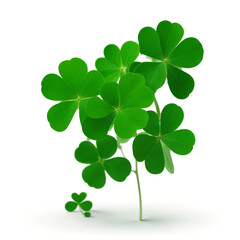 Clover leaves over white background