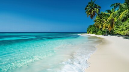 Fototapeta premium A serene graph of a white sandy beach bordered by tall palm trees, with a turquoise ocean in the