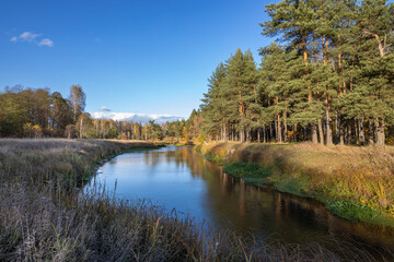 A river with a forest on the other side